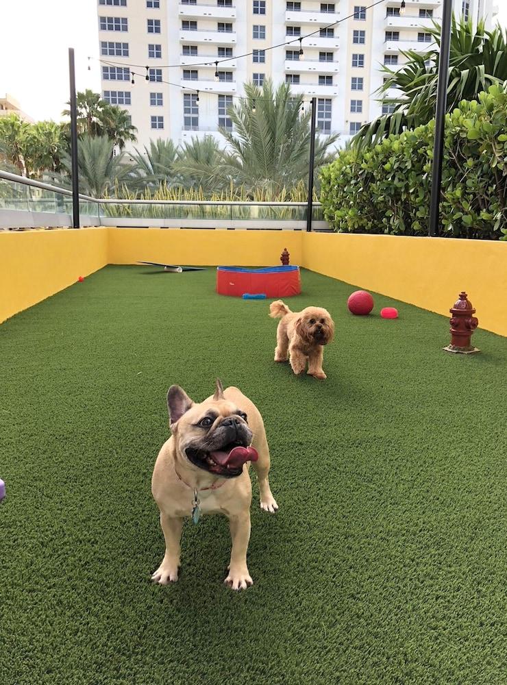 Hyatt Centric South Beach Miami Miami Beach Bagian luar foto